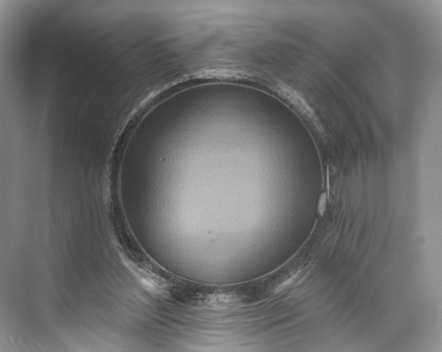 X0000073480204200608140825