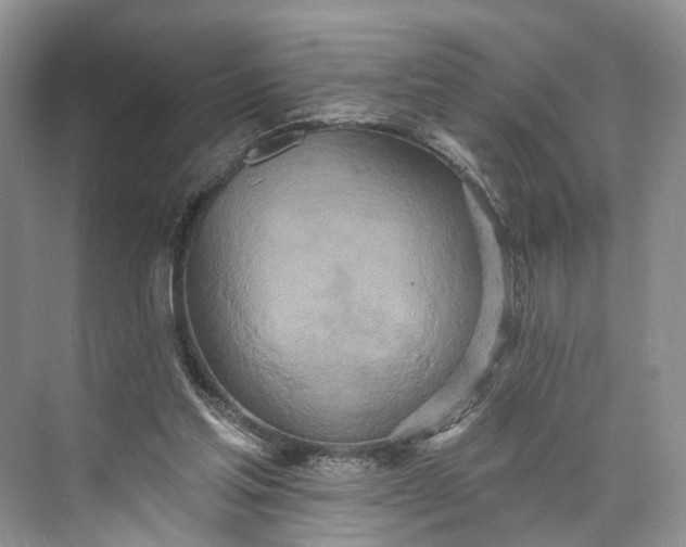 X0000073480205200608140825