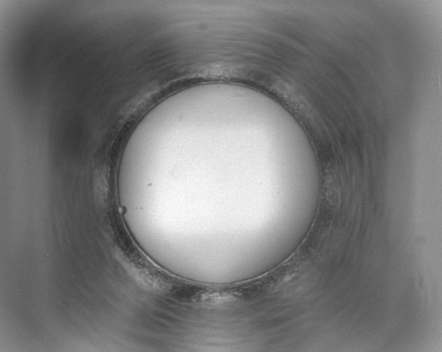 X0000073480208200608140825