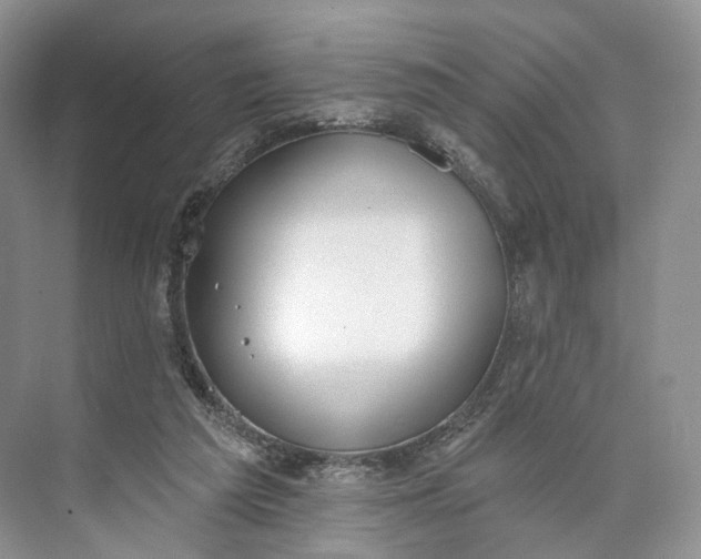 X0000073480209200608140825