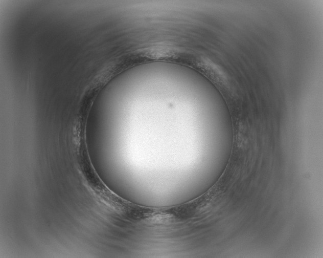 X0000073480210200608140825