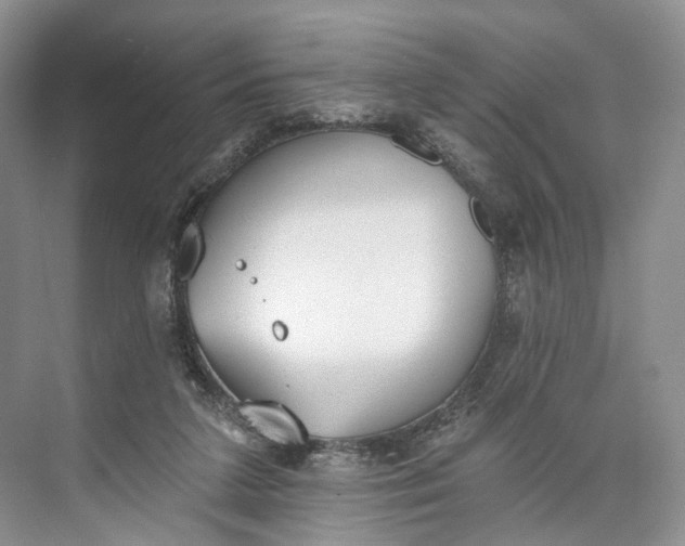 X0000073480211200608140825