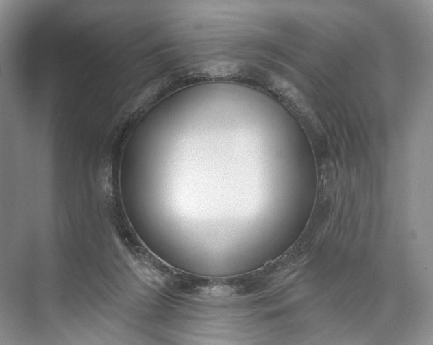 X0000073480212200608140825