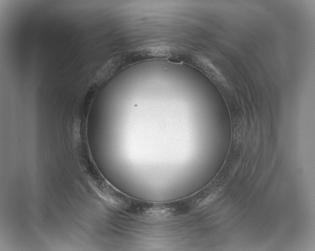 X0000073480213200608140825