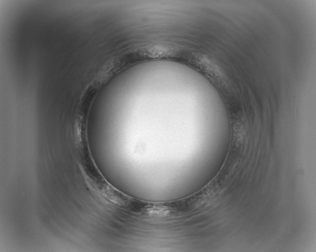 X0000073480214200608140825