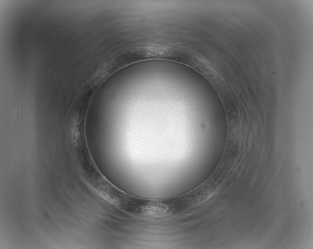 X0000073480215200608140825