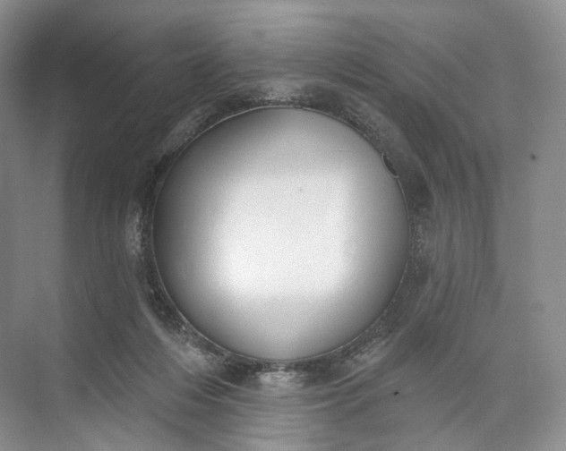 X0000073480216200608140824