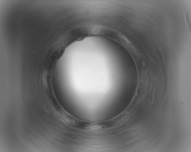 X0000073480217200608140824