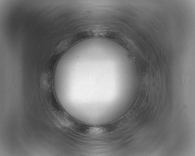 X0000073480218200608140824