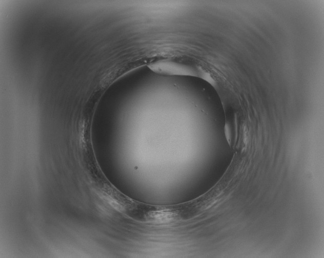 X0000073480219200608140824