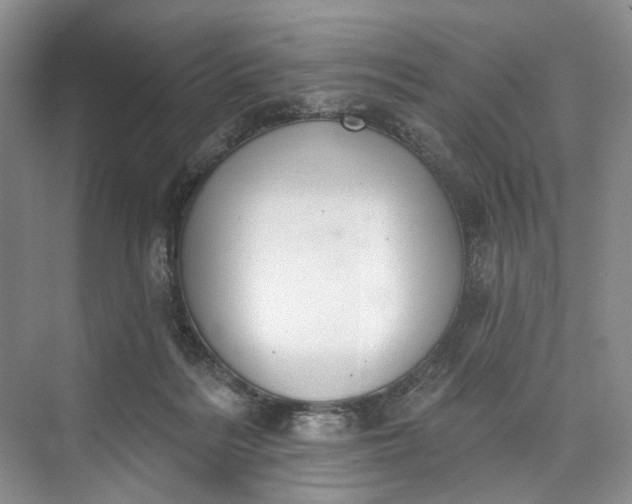 X0000073480220200608140824