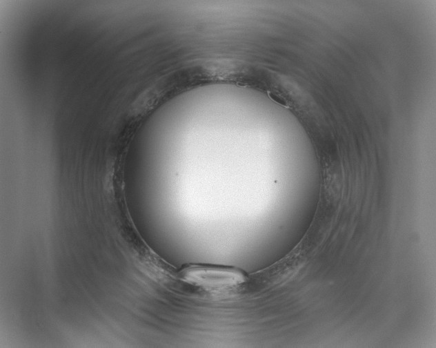 X0000073480221200608140824