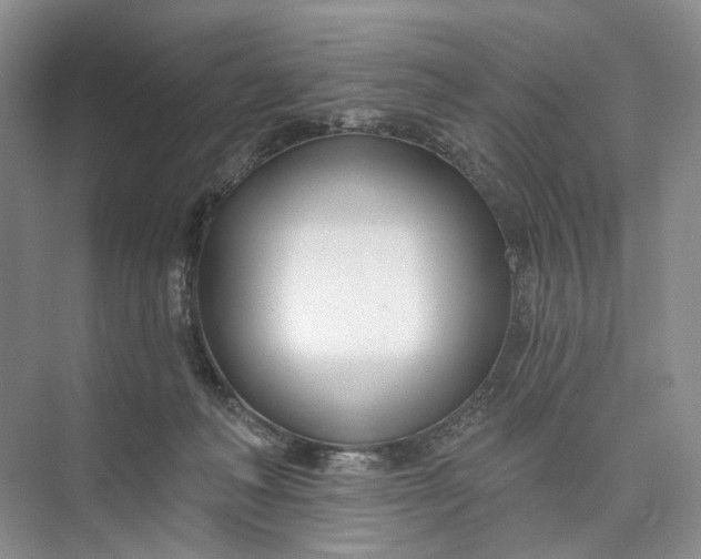 X0000073480222200608140824