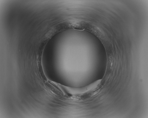 X0000073480223200608140824