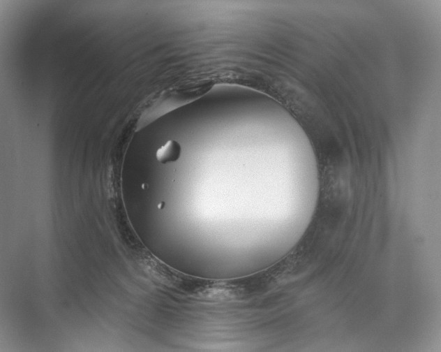 X0000073480224200608140824