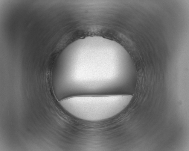 X0000073480225200608140824