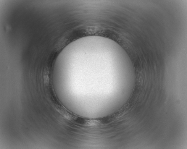 X0000073480226200608140824