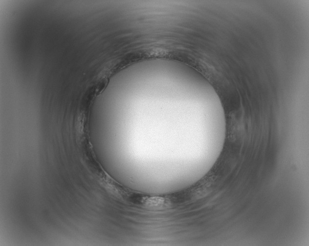 X0000073480230200608140824