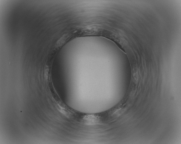 X0000073480231200608140824