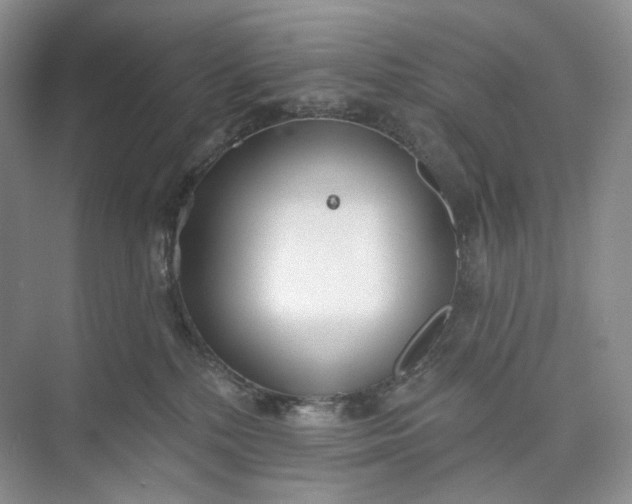 X0000073480232200608140824