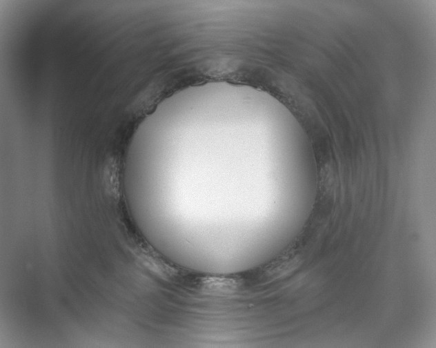 X0000073480234200608140824