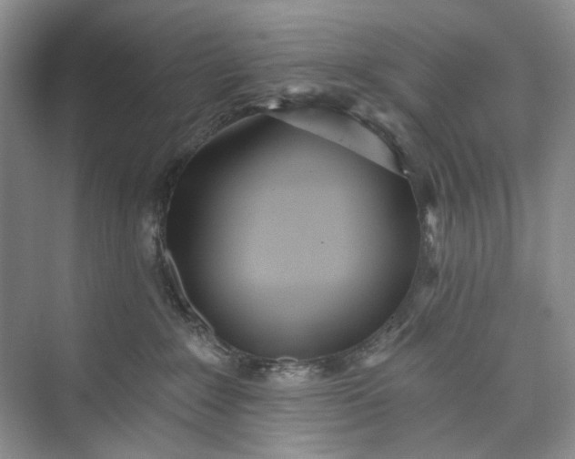 X0000073480235200608140824