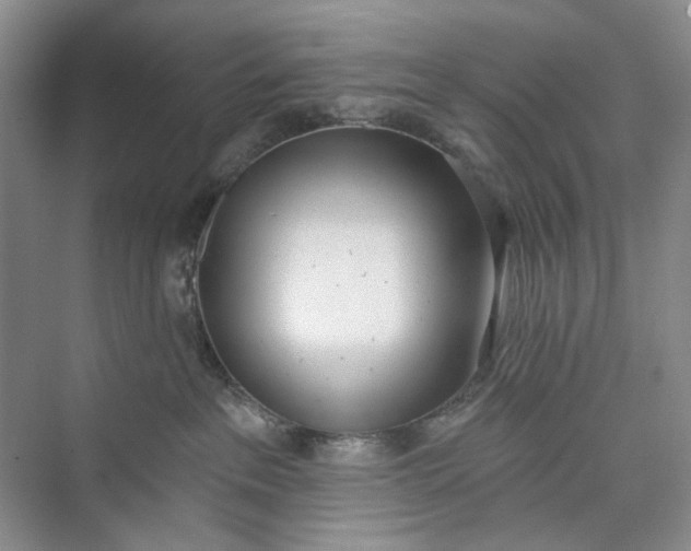 X0000073480237200608140824