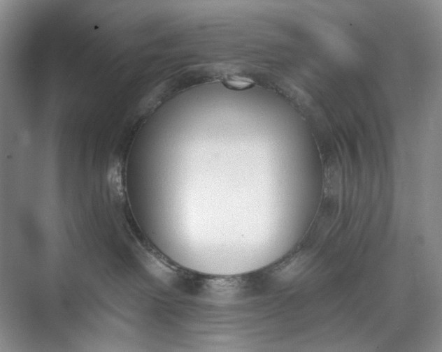 X0000073480238200608140824