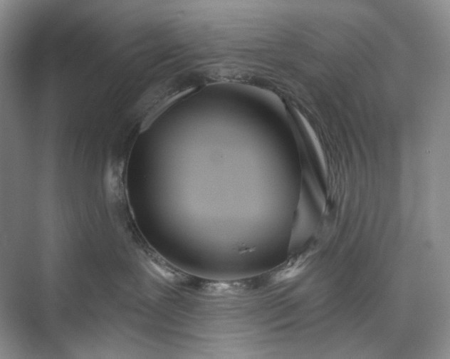 X0000073480239200608140824