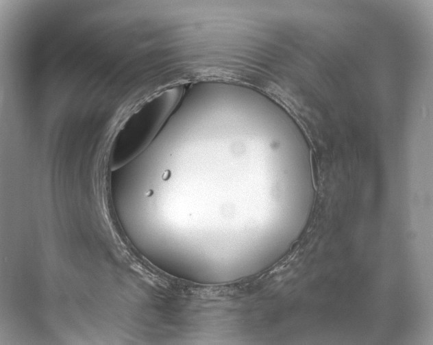 X0000073480241200608140823