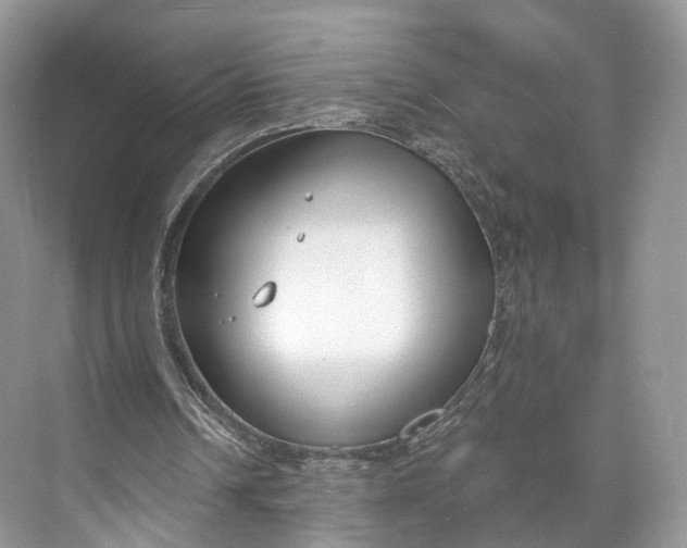 X0000073480242200608140823