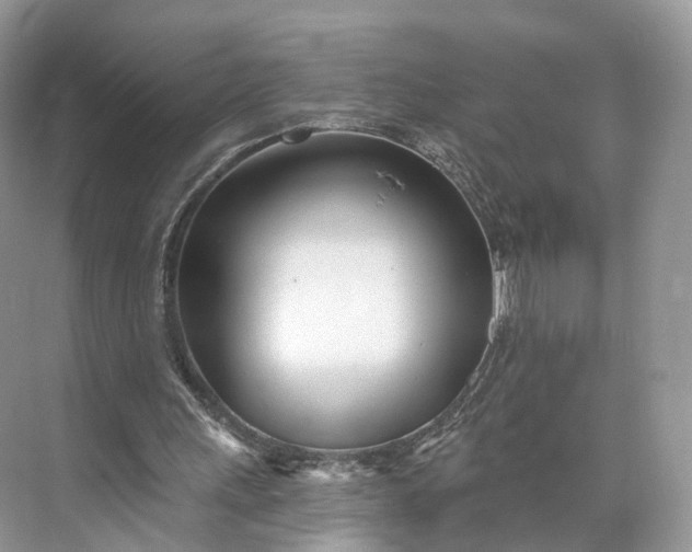 X0000073480243200608140823