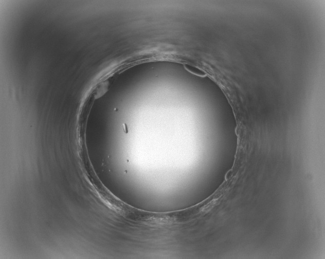 X0000073480245200608140823