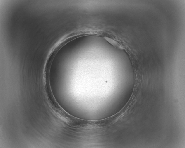 X0000073480246200608140823