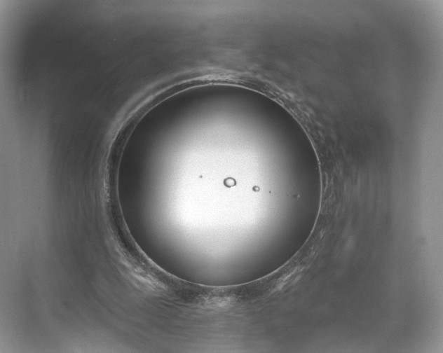 X0000073480247200608140823