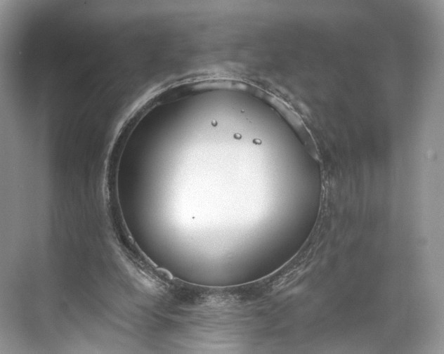 X0000073480248200608140823