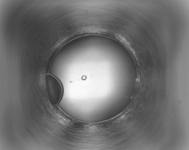 X0000073480249200608140823