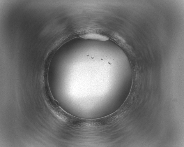 X0000073480250200608140823