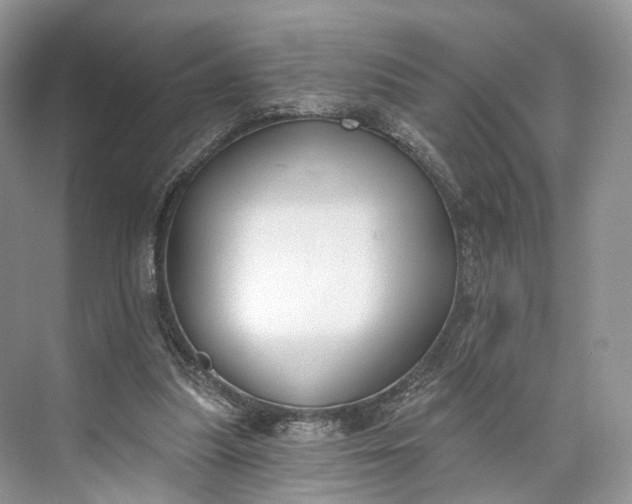 X0000073480251200608140823