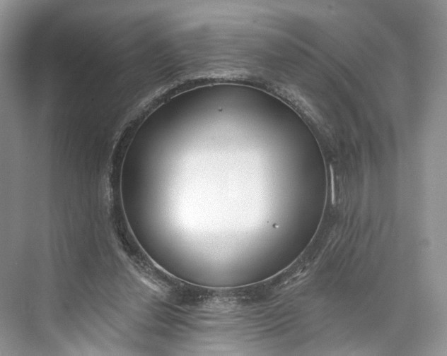 X0000073480252200608140823