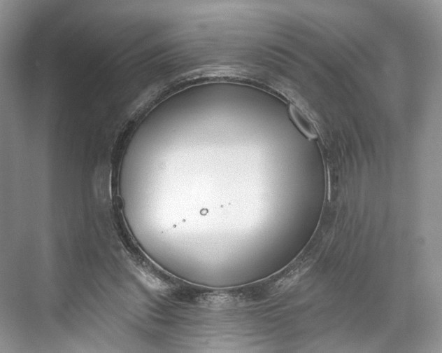 X0000073480253200608140823