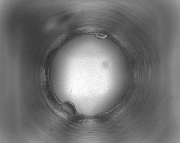 X0000073480254200608140823