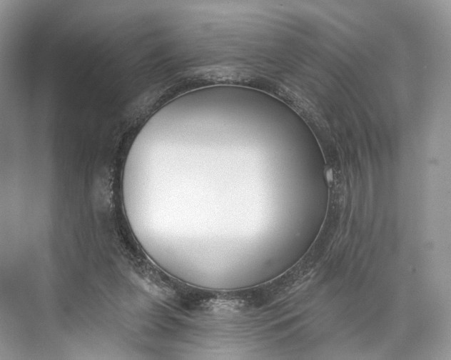 X0000073480255200608140824