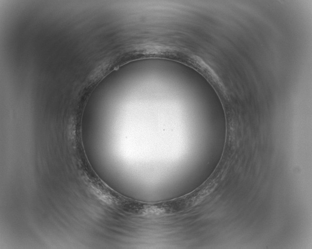 X0000073480257200608140824