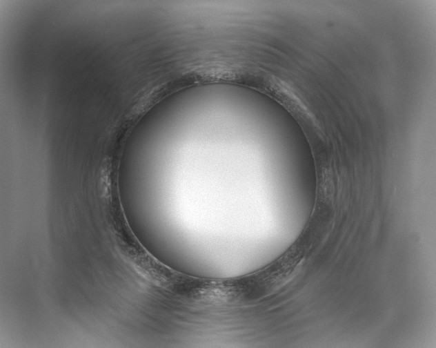 X0000073480259200608140824