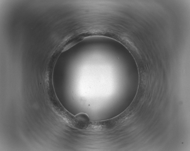 X0000073480260200608140824