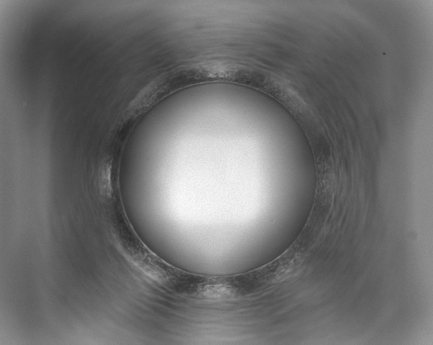 X0000073480262200608140824