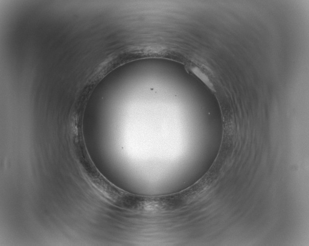 X0000073480264200608140824