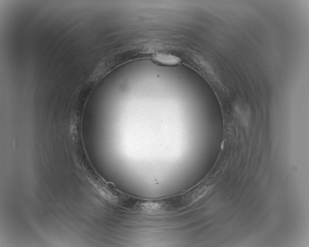 X0000073480265200608140824