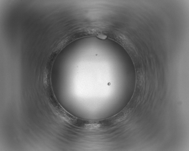 X0000073480266200608140824